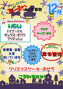 チラシ